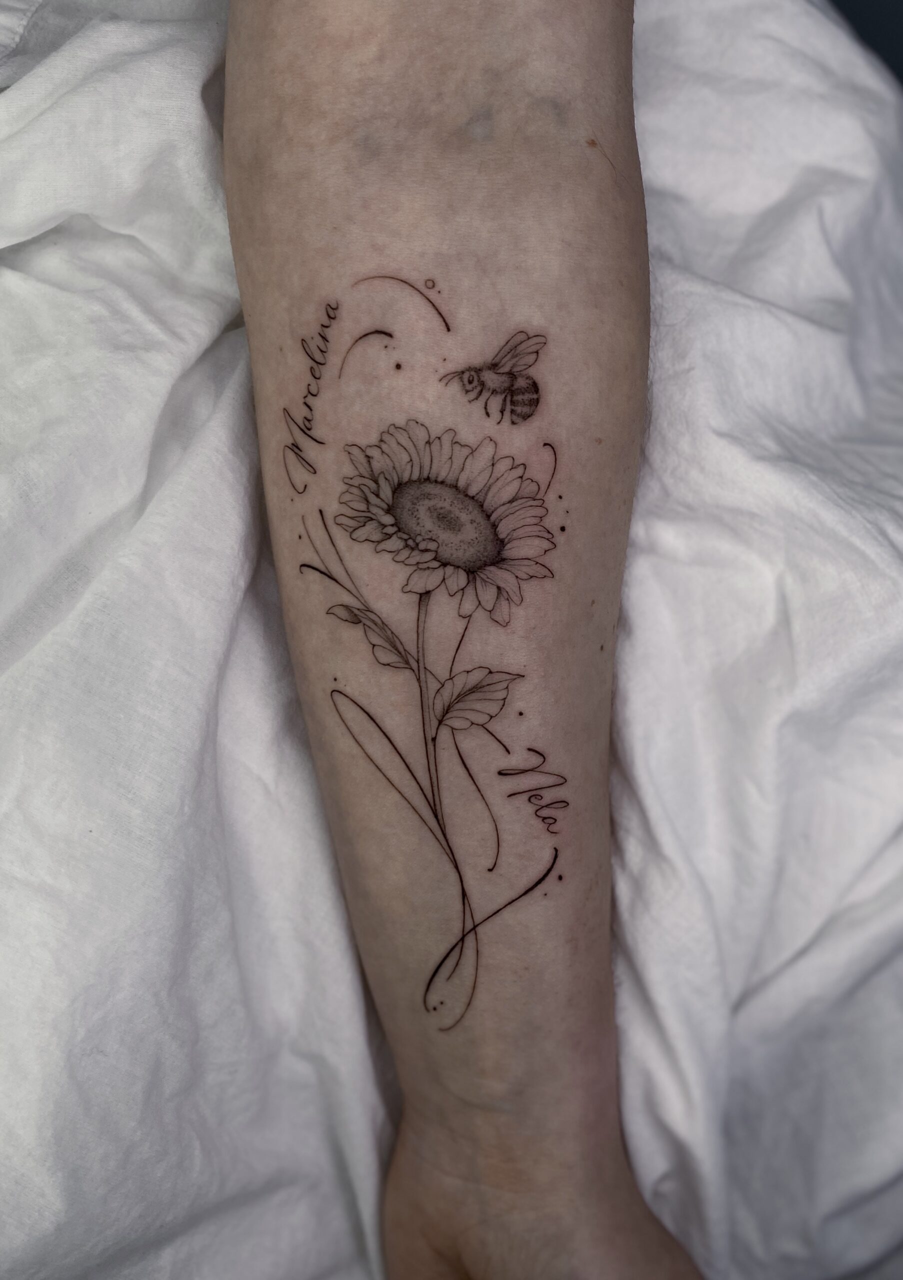 IMG_2005_jpg